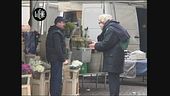 SORTINO: Culattone a Ferrara