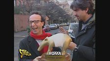 Tapiro trovato nel cassonetto