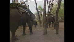 Ep. 1 - Messico-Botswana-Australia-Nepal-Papua Nuova Guinea