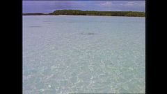 Ep. 13 - Giappone-Isole Cook-Amazzonia-Hawaii-Pakistan