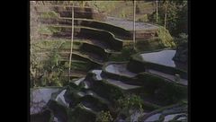 Ep. 17 - Isole Cook-Indonesia-Hawaii-Uzbekistan-Bolivia