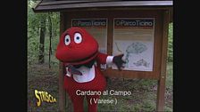Il Ponte del Gabibbo a Cardano al Campo (VA)