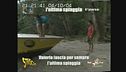 Comiche all'Isola
