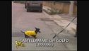 Il bassotto e Stefania indagano a Castellamare del Golfo