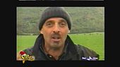 Brosio e le mucche