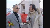 Truffe in provincia di Treviso