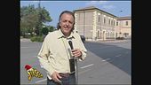 Armaroli e le zanzare