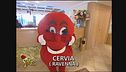 Gabibbo a Cervia