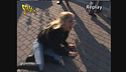 Vanessa non piace a Maroni