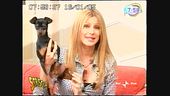 Willy presenta le gaffes canine in tv