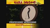 Professore Vesuviano