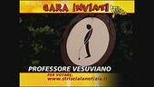 Professore Vesuviano