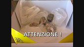 Simulazione di truffa