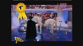 I nuovi mostri tv della settimana