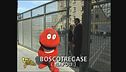 Il Gabibbo a Boscotrecase (NA)