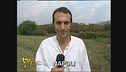 Max ci parla di giochi televisivi