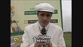 Asino di un Morello