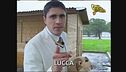 Moreno Morello e i collari elettrici