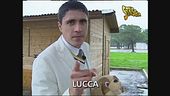 Moreno Morello e i collari elettrici