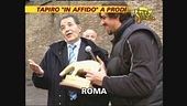 Tapiro a Prodi