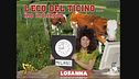 Collegamento Eco del Ticino
