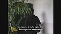 La truffa della ragazza avvenente