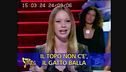 I proverbi sbagliati