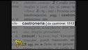 Il vocabolario "Zingaretti"