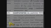 Il vocabolario "Zingaretti"