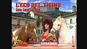 I poni matti