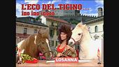 I poni matti