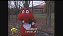 Gabibbo a Borno