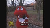 Gabibbo a Borno