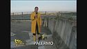 Malaviabilità
