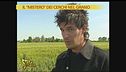 Cerchi nel grano