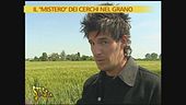 Cerchi nel grano