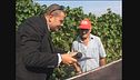 GOLIA: Lavoratori sfruttati durante la vendemmia