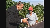 GOLIA: Lavoratori sfruttati durante la vendemmia