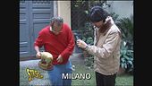 Tapiro ad Alessandro Cecchi Paone