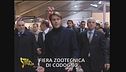 Il principe e la mucca