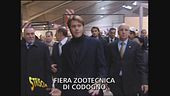 Il principe e la mucca