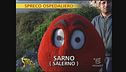 Spreco ospedaliero