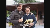 Tapiro a Walter Novellino