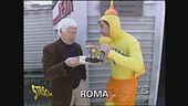 Funghi primaverili