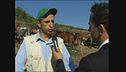 VIVIANI: Cavalli sequestrati