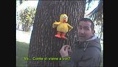 BUGS: Truffati dalle Iene a Roma