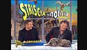 17 ottobre 2008