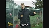Sale operatorie per animali