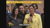 Iniziativa antimafia
