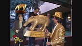 Tapiro a Fiorello